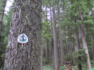 PCT sign