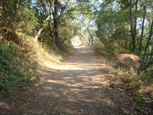 Santa Cruz trails